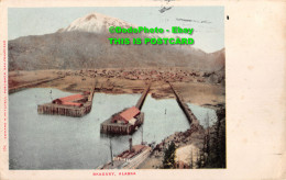 R414405 Alaska. Skaguay. H. Mitchell. Postcard. 1906 - World
