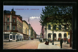 AK Ludwigshafen A. Rh., Passanten Auf Der Ludwigstrasse Mit Strassenbahn  - Strassenbahnen