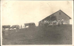 12323219 Schoenengrund AR Bauernhof Kuehe Schoenengrund AR - Andere & Zonder Classificatie