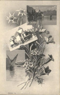 12321039 Chillon Schloss Genfersee Segelboot Alpen Blumen Montreux - Andere & Zonder Classificatie