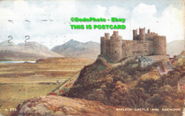 R414510 Harlech Castle And Snowdon. Valentine. Art Colour. Brian Gerald. 1949 - Monde