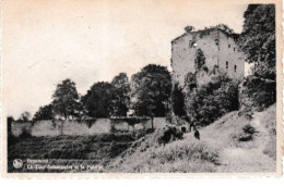 DEND Beaumont La Tour Salamandre Et La Poterne - Beaumont