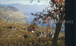 12270909 Lavaux VD Les Vignobles Lac Leman Alpes Vaudoises Weinberge Genfersee A - Sonstige & Ohne Zuordnung