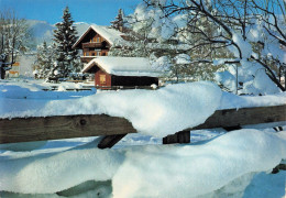 CPSM L'Hiver Dans Les Alpes-Les Chalets Sous La Neige      L2919 - Altri & Non Classificati