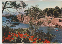 Cote D'Azur 06  Carte Circulée Lumiere Et Beauté  Et Calaque Fleurie - Autres & Non Classés