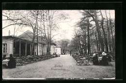 AK Zerbst, Friedrichsholz, Gasthaus  - Zerbst