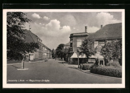 AK Jessnitz I. Anhalt, Partie Von Der Raguhner Strasse  - Sonstige & Ohne Zuordnung