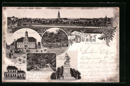 Lithographie Düben A. D. Mulde, Marktplatz, Bahnhof, Partie Im Stadtpark  - Bad Düben