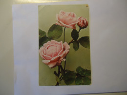 FRANCE   POSTCARDS  GREETING  ROSES 1922 - Other & Unclassified