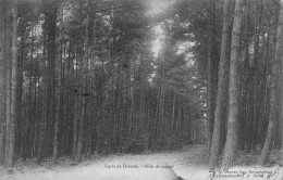 62 FORET DE DESVRES ALLEE DES SAPINS - Autres & Non Classés