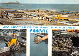 35 CANCALE LES PARCS A HUITRES - Cancale