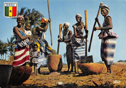 SENEGAL SCENES - Sénégal