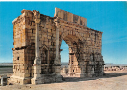 MAROC VOLUBILIS - Andere & Zonder Classificatie