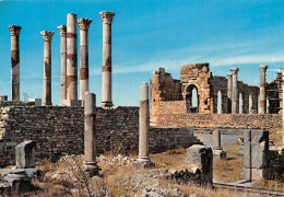 MAROC VOLUBILIS - Other & Unclassified