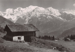 74 LE MONT BLANC - Chamonix-Mont-Blanc