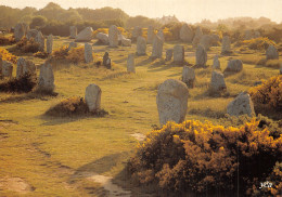 56 CARNAC LES ALIGNEMENTS DE MENHIRS - Carnac