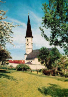 72747099 Hittenkirchen Chiemsee Kuratie Kirche St Bartholomaeus Baumbluete Hitte - Other & Unclassified