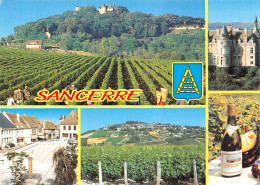 18 SANCERRE LES VIGNOBLES - Sancerre