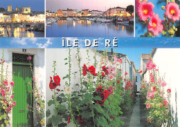 17 L ILE DE RE - Ile De Ré