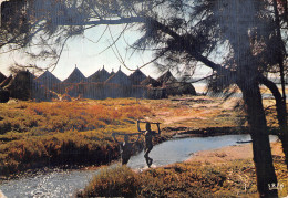 AFRIQUE VILLAGE - Unclassified