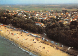 17 L ILE D OLERON LA BREE - Ile D'Oléron