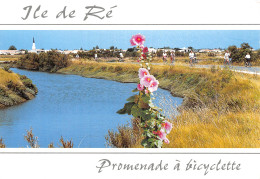 17 L ILE DE RE ARS - Ile De Ré