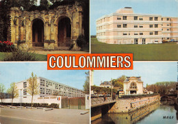 77 COULOMMIERS RUINES DU CHATEAU - Coulommiers