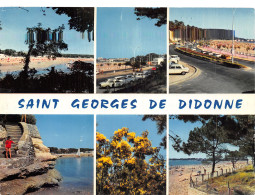 17 SAINT GEORGES DE DIDONNE - Saint-Georges-de-Didonne