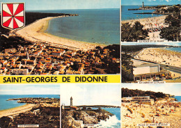 17 SAINT GEORGES DE DIDONNE - Saint-Georges-de-Didonne