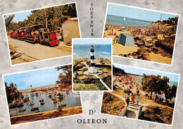 17 L ILE D OLERON - Ile D'Oléron