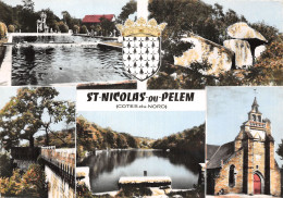 22 SAINT NICOLAS DU PELEM - Saint-Nicolas-du-Pélem
