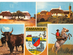 13 LES GARDIANS EN CAMARGUE - Sonstige & Ohne Zuordnung