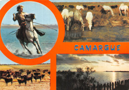 13 LES GARDIANS EN CAMARGUE - Sonstige & Ohne Zuordnung