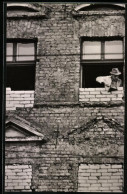 Archiv-Fotografie Ansicht Berlin, Zonengrenze, Fenster Im Wohnhaus In Der Bernauer Strasse Wird Zugemauert  - Krieg, Militär