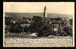 AK Langenau Am Donauried /Württbg., Teilansicht  - Other & Unclassified