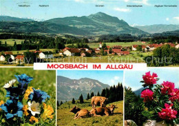 72744037 Moosbach Sulzberg Gesamtansicht Mit Alpenpanorama Allgaeuer Alpen Blaue - Sonstige & Ohne Zuordnung