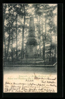 AK Freiberg /Sa., Promenade Mit Kriegerdenkmal 1870-71  - Freiberg (Sachsen)