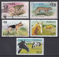 Philippines Pilipinas Animaux - Other & Unclassified