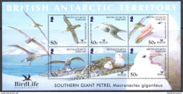 2005 ANTARTICO BRITANNICO - Protezione Uccelli - Yvert N. 10 - MNH** - Sonstige & Ohne Zuordnung