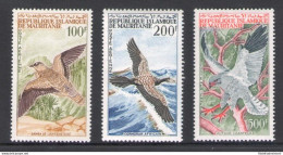 1964 MAURITANIE - Posta Aerea - Catalogo Yvert N. 34-36 - Uccelli - 3 Valori - MNH** - Otros & Sin Clasificación