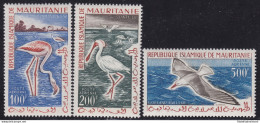 1961 MAURITANIE - Posta Aerea - Catalogo Yvert N. 18-20 - Uccelli - 3 Valori - MNH** - Sonstige & Ohne Zuordnung