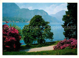 72739882 Bellagio Lago Di Como Villa Melzi Park  - Autres & Non Classés