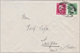 Bahnpost: Brief Von Immendingen Mit Zugstempel Konstanz-Offenburg 1929 - Cartas & Documentos