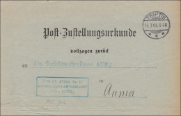 Postzustellurkunde 1905 Von Triptis Nach Auma - Briefe U. Dokumente