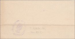 Hildburghausen 1909 Vom Herzoglichen Landrat Als Drucksache - Brieven En Documenten