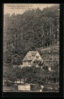 AK Auerbach A. D. B., Villa Friedrichs Ruhe Im Hochstädtertal  - Andere & Zonder Classificatie