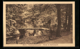 AK Berlin-Niederschönhausen, Partie Im Schlosspark  - Pankow