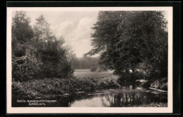 AK Berlin-Niederschönhausen, Schlosspark  - Pankow