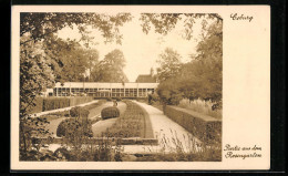 AK Coburg, Rosengarten Und Gartenschau, Partie Aus Dem Rosengarten  - Coburg