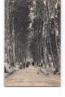 AUXERRE - L'Arbre Sec - La Grande Avenue - Très Bon état - Auxerre